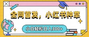 小红书种草，手机项目，日入3张，复制黏贴即可，可矩阵操作，动手不动脑【揭秘】-识享社