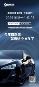 视频号连怼玩法-FFplug玩法AB插件使用+测素材教程-梅花实验室社群专享课-识享社