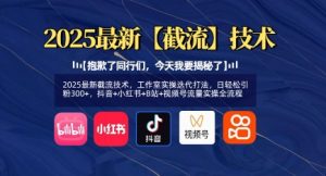 2025最新截流技术,工作室实操迭代打法,日轻松引粉300+,抖音+小红书+B站+视频号流量实操全流程-识享社