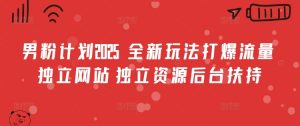 男粉计划2025 全新玩法打爆流量 独立网站 独立资源后台扶持【揭秘】-识享社