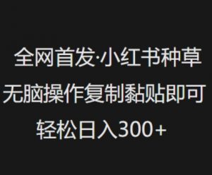 全网首发，小红书种草无脑操作，复制黏贴即可，轻松日入3张-识享社