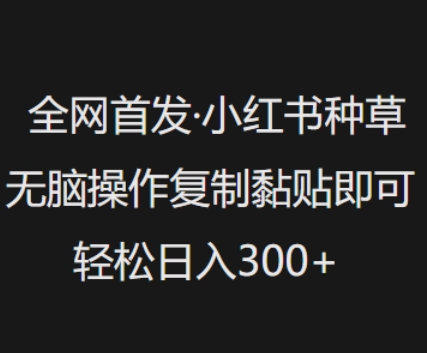 全网首发,小红书种草无脑操作,复制黏贴即可,轻松日入3张-识享社