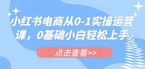 小红书电商从0-1实操运营课,0基础小白轻松上手-识享社