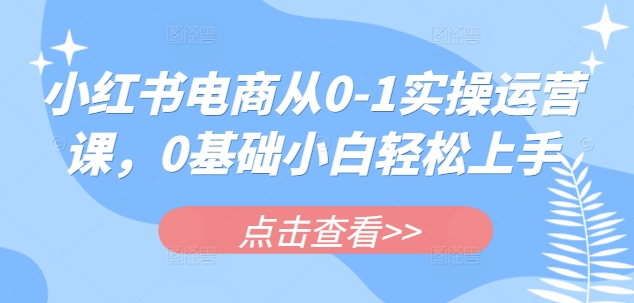 小红书电商从0-1实操运营课,0基础小白轻松上手-识享社