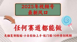 2025年视频号新风口，低门槛只需要无脑执行-识享社