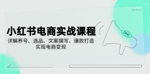 小红书电商实战课程，详解养号、选品、文案撰写、爆款打造，实现电商变现-识享社
