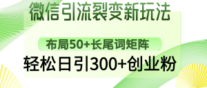 微信引流裂变新玩法：布局50+长尾词矩阵，轻松日引300+创业粉-识享社