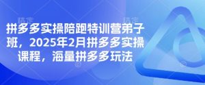拼多多实操陪跑特训营弟子班,2025年2月拼多多实操课程,海量拼多多玩法-识享社