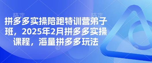 拼多多实操陪跑特训营弟子班,2025年2月拼多多实操课程,海量拼多多玩法-识享社