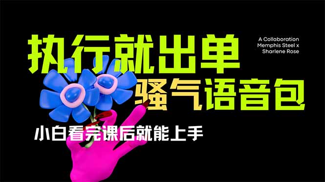 爆火全网的开车导航骚气语音包,只要执行就出单，小白看完课程就能实操…-识享社