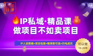 2025年“IP私域·密训精品课”，日赚3000+小白避坑年赚百万，暴力引流...-识享社