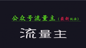 公众号流量全网最新玩法核心，系统讲解各种先进玩法和稳定收益的方法-识享社