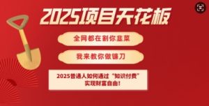 2025项目天花板普通人如何通过知识付费，实现财F自由【揭秘】-识享社