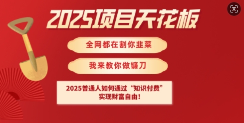 2025项目天花板普通人如何通过知识付费，实现财F自由【揭秘】-识享社