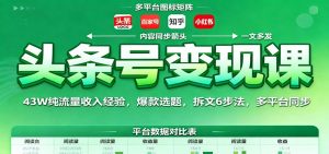 头条号变现课：43W纯流量收入经验，爆款选题，拆文6步法，多平台同步-识享社