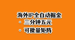 海外ip全自动掘金，2025必做蓝海项目，3分钟落地，矩阵直接开干【揭秘】-识享社