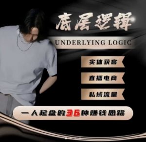 一个人起盘的底层逻辑，私域流量-直播电商-实体获客，一人起盘的36种賺钱思路-识享社