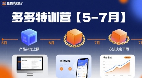 多多特训营,产品决定上限,方法决定下限,各种玩法技巧落地实操(更新)-识享社
