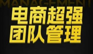 电商超强团队管理,组织绩效,到用人执行,分权合伙-识享社