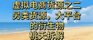 虚拟电商之二—另类的货源,大平台的衍生物-识享社