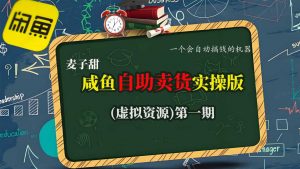 麦子甜咸鱼自助卖货实操版(虚拟资源)一个会自动搞钱的机器-识享社