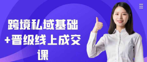 怎么做跨境私域？基础+晋级线上成交课：打通海外引流、本土化沟通、分层运营全链路-识享社