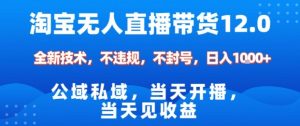 淘宝无人直播12.0，公域私域技术，不封号，不违规布局双十一流量风口，日入1k(独家技术)【揭秘】-识享社