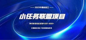 小任务联盟项目:一台电脑每天只需10分钟,轻松简单稳定-识享社