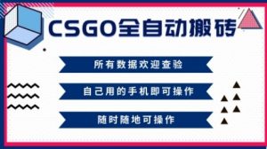 CSGO全自动搬砖,年底钱回家好项目,当天可拿到结果,新手小白轻松月入1W+【揭秘】-识享社
