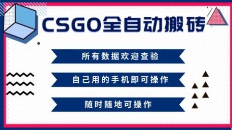CSGO全自动搬砖,年底钱回家好项目,当天可拿到结果,新手小白轻松月入1W+【揭秘】-识享社