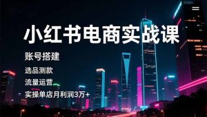 小红书电商实战课,账号搭建,选品测款,流量运营,实操月利润3万+-识享社