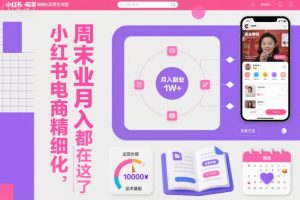 小红书电商精细化运营全流程，周末副业月入1W+，全套方法都在这了-识享社