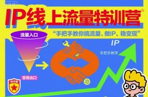 IP线上流量特训营,手把手教你搞流量、做IP、稳变现-识享社