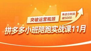 拼多多小班陪跑实战课11月，强付费矩阵、原价活动、暗券引流，突破运营瓶颈，单店日利润破5000-识享社