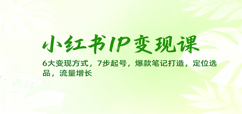 小红书IP变现课：6大变现方式，7步起号，爆款笔记打造，定位选品，流量增长-识享社