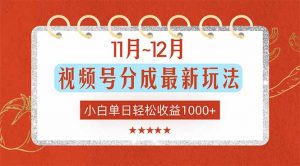 11月~12月视频号分成最新玩法，小白单日轻松收益1000+-识享社