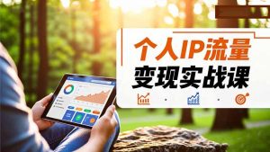个人IP流量变现实战课，涵盖多平台引流、打造个人IP并实现稳定流量变现-识享社