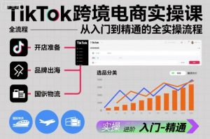 TikTok跨境电商实操课,从入门到精通的全实操流程-识享社