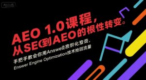 AEO 1.0 课程，从SEO到AE0的基命性转变，手把手教会你用AnswerEngineOptimization技术抢回流量(更新)-识享社