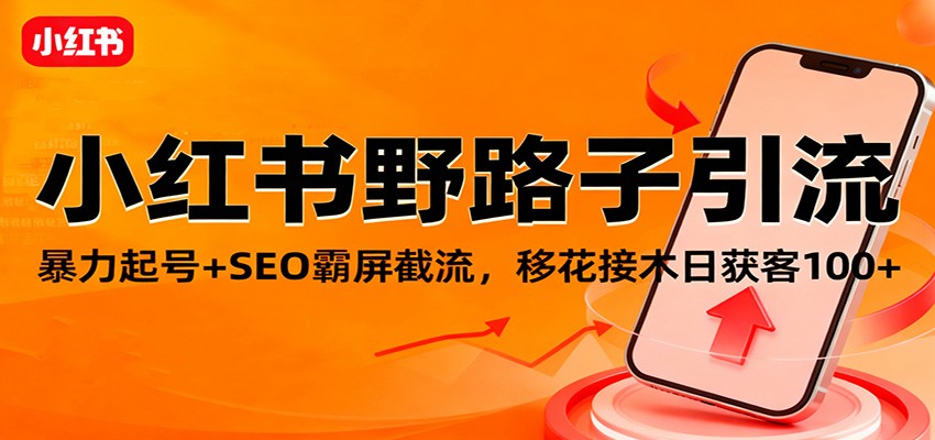 小红书野路子引流，暴力起号+SEO霸屏截流，移花接木日获客100+-识享社