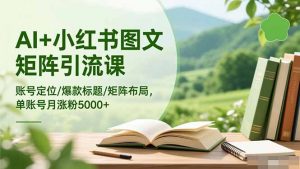 AI+小红书图文矩阵引流课：账号定位/爆款标题/矩阵布局/单账号月涨粉5000+-识享社