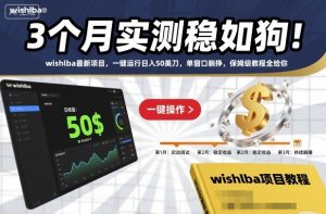 3个月实测稳如狗!wishlba最新项目,一键运行日入50美刀,单窗口躺挣,保姆级教程全给你【揭秘】-识享社