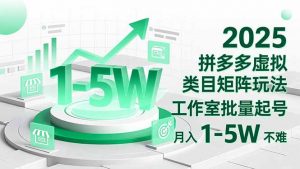 2025 拼多多虚拟类目矩阵玩法,工作室批量起号,月入 1-5W 不难-识享社
