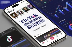 TikTok搬运解说教程，稳定收益，操作简单易懂，批量可做，持续稳定-识享社