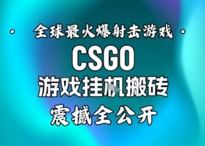 【年底大揭秘】基于全球最火爆的射击CSGO游戏挂G搬砖,日入5张+,震撼公开-识享社