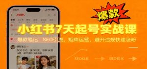 小红书7天起号实战课:爆款笔记,SEO引流,矩阵运营,避开违规快速涨粉-识享社