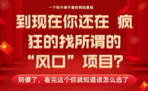 马上26年了,你还在找所谓的风口项目?别傻了,看完这个你全都懂了!【揭秘】-识享社
