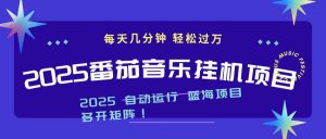 2025最新挂机番茄音乐项目，每天几分钟，日入1000＋-识享社