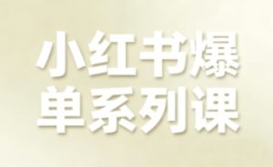 小红书爆单系列课，聚焦小红书电商全链路增长(更新)-识享社