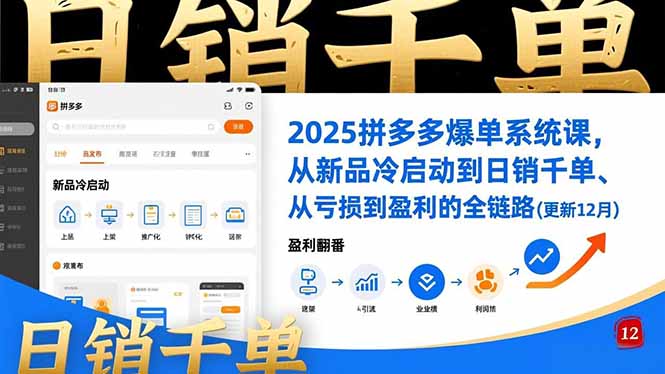 2025拼多多爆单系统课,从新品冷启动到日销千单、从亏损到盈利的全链路(更新12月-识享社